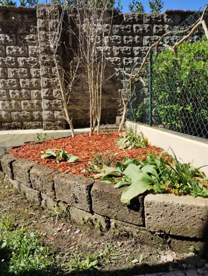 Border House Apartment Gorizia Bagian luar foto